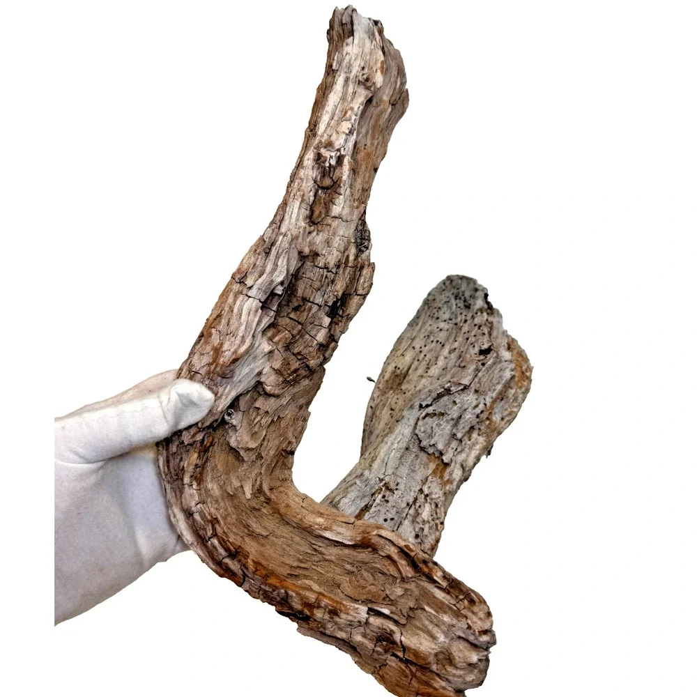 Set of 2 California Natural Driftwood Wavy Burlwood Terrarium Aquarium Craft